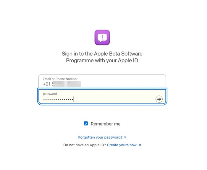 войдите в систему, используя свой Apple ID