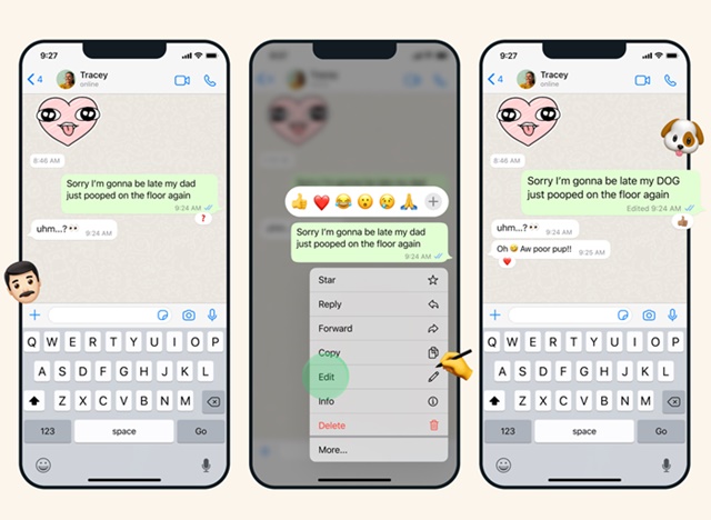 Редактировать сообщения WhatsApp на iPhone