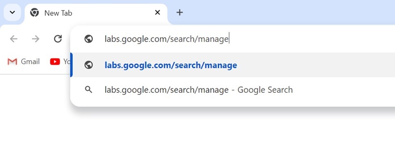 labs.google.com/search/manage