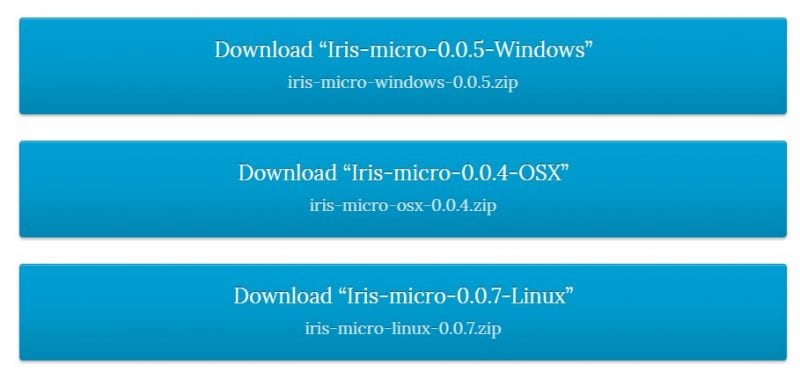 Ирис микро для Windows<h3><span id=