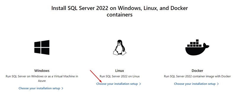 Установите SQL-сервер 2022.