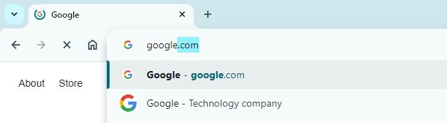 Google.com