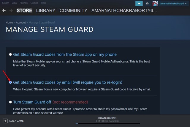 «Получите коды Steam Guard по электронной почте»