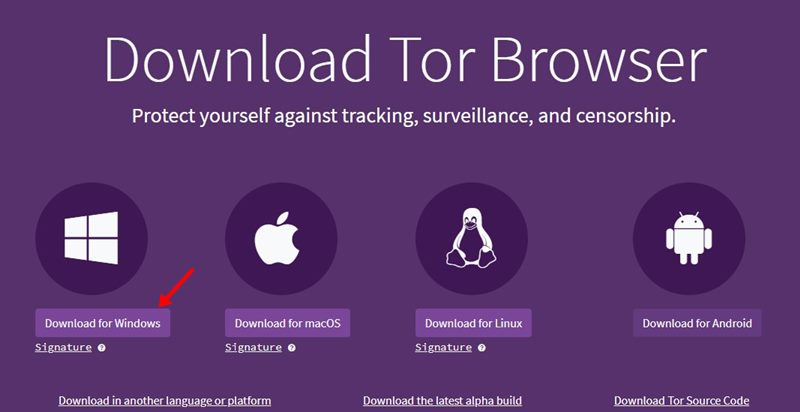 скачайте последнюю версию Tor Browser