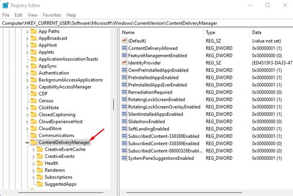 HKEY_CURRENT_USER\SOFTWARE\Microsoft\Windows\CurrentVersion\ContentDeliveryManager